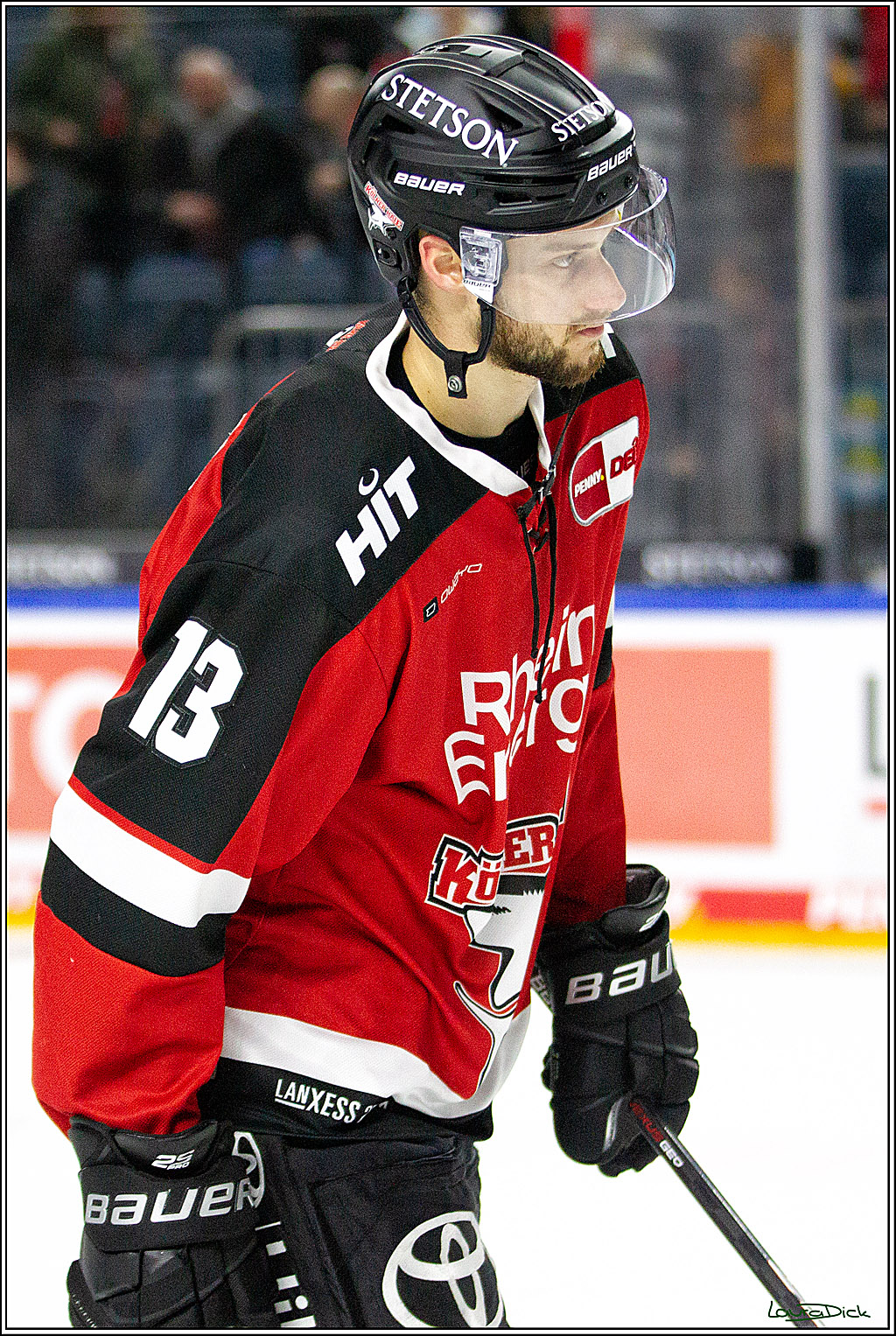 PENNY DEL;  Koelner Haie - Straubing Tigers; Koeln, 15.10.2021